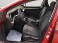 Volkswagen Golf VIII 1.5TSI Life Matrix Navi SHZ Rear View ACC Car Rot - thumbnail 11