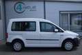 Volkswagen Caddy Kombi 2,0 TDI / NETTO: 10.816 € Weiß - thumbnail 6