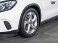 Mercedes-Benz GLA 220 4Matic 7G-DCT *PANO*KEYLESS-GO*360 Blanco - thumbnail 5