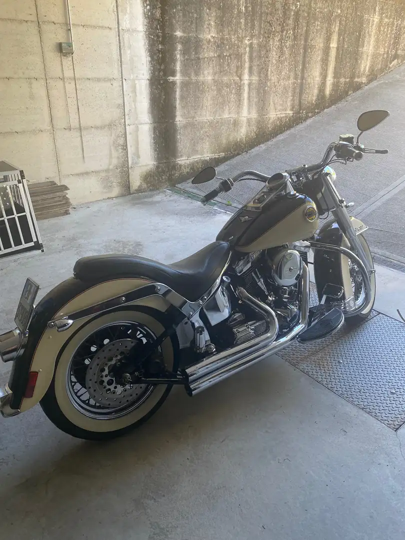 Harley-Davidson Heritage Softail FLSTC, Heritage Softail Daytona Edition Бежевий - 2