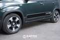 Fiat Panda Pandina 1.0 Firefly Hybrid 70CV Cross Grün - thumbnail 4