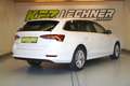 Skoda Octavia Combi 2,0 TDI DSG "NAVI*ACC*SITZH*HEADUP" Weiß - thumbnail 4
