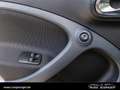 smart forFour EQ  passion *Advanced*Navi*Klima*LadeK*SH Argent - thumbnail 13