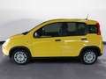 Fiat Panda 1.0 70cv Hybrid PANDA Jaune - thumbnail 5