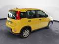 Fiat Panda 1.0 70cv Hybrid PANDA Jaune - thumbnail 4