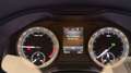 Skoda Karoq 2.0 tdi evo Executive dsg *PREZZO REALE* Blue - thumbnail 21