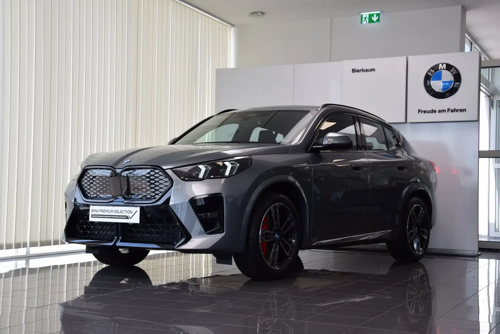 BMW iX2 iX2 xDrive30 Szary - 1