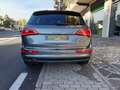 Audi Q5 Q5 2.0 tdi Advanced Plus Quattro 190cv S-Tronic Grigio - thumbnail 4