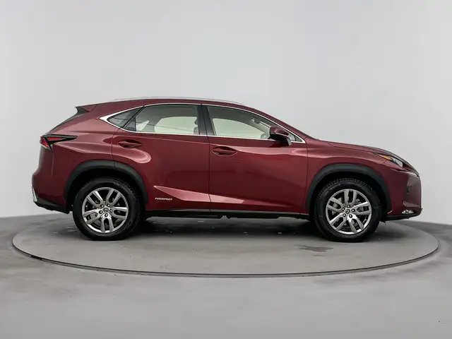 Lexus NX view 10