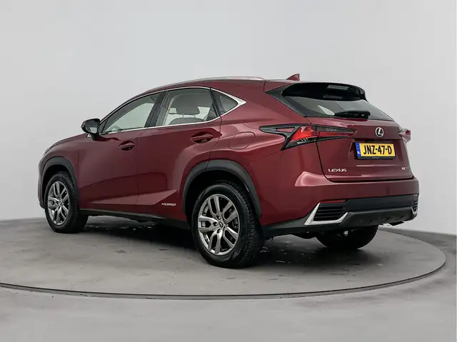 Lexus NX view 12