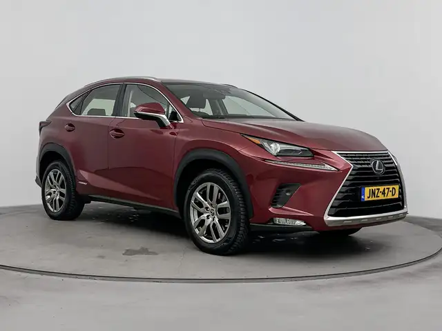 Lexus NX view 11