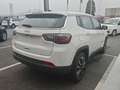 Jeep Compass 1.5 Turbo T4 130CV MHEV 2WD Altitude White - thumbnail 4