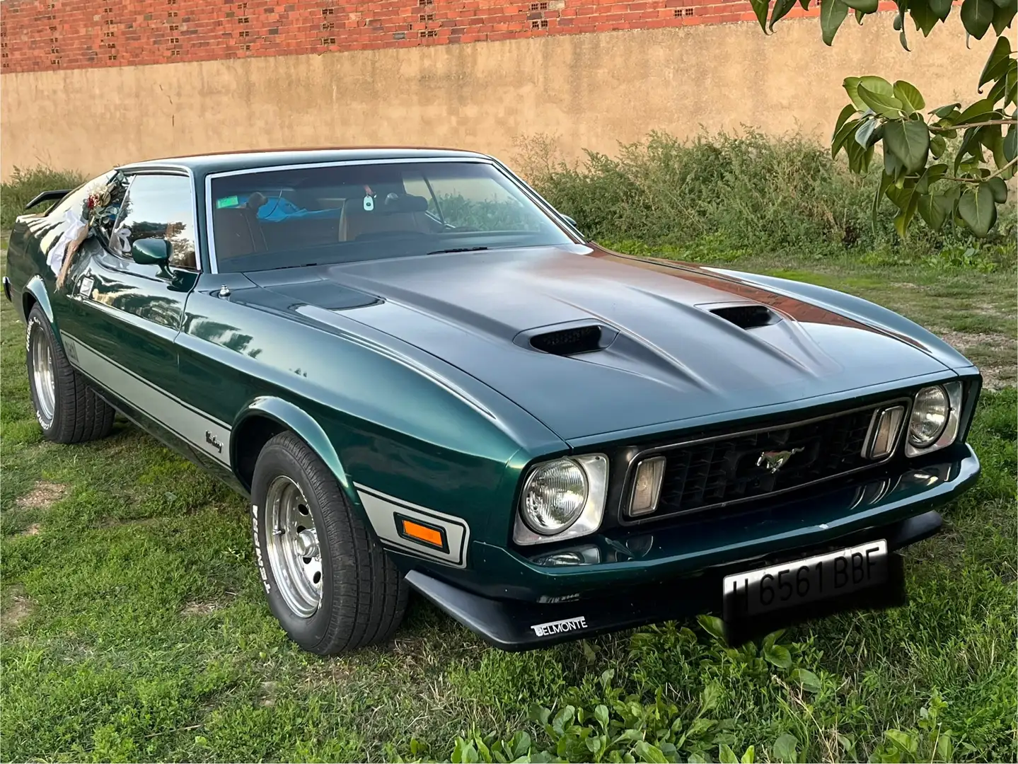 Ford Mustang Mach1 año 73 Verde - 2