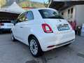 Fiat 500 500 1.0 Hybrid Dolcevita Weiß - thumbnail 4