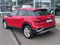 Audi Q2 35 TDI Advanced quattro S tronic 110kW Rojo - thumbnail 3
