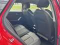 Audi Q2 35 TDI Advanced quattro S tronic 110kW Rojo - thumbnail 14