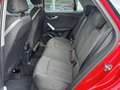 Audi Q2 35 TDI Advanced quattro S tronic 110kW Rojo - thumbnail 11