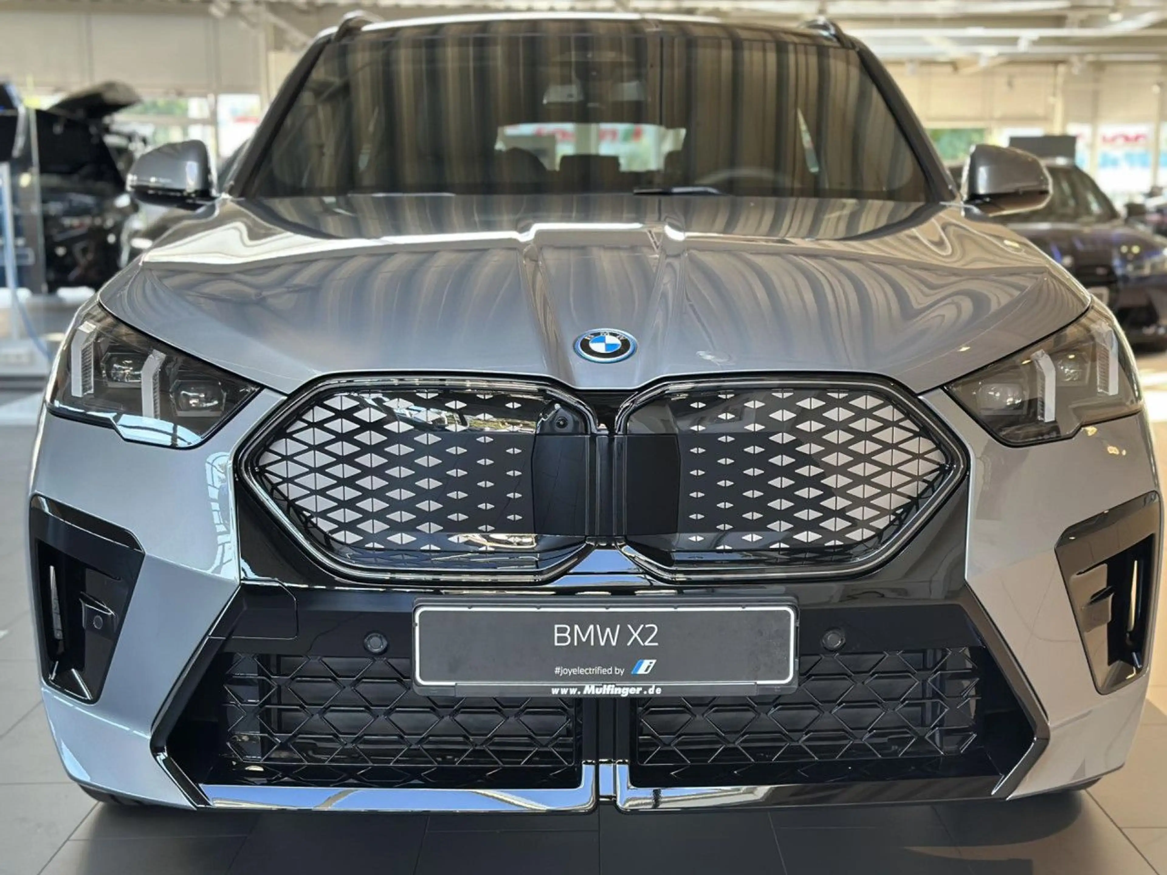 BMW iX2 x30 M Sport Pro AHK HUD Ha/Ka PanoD. SurView. — photo 5