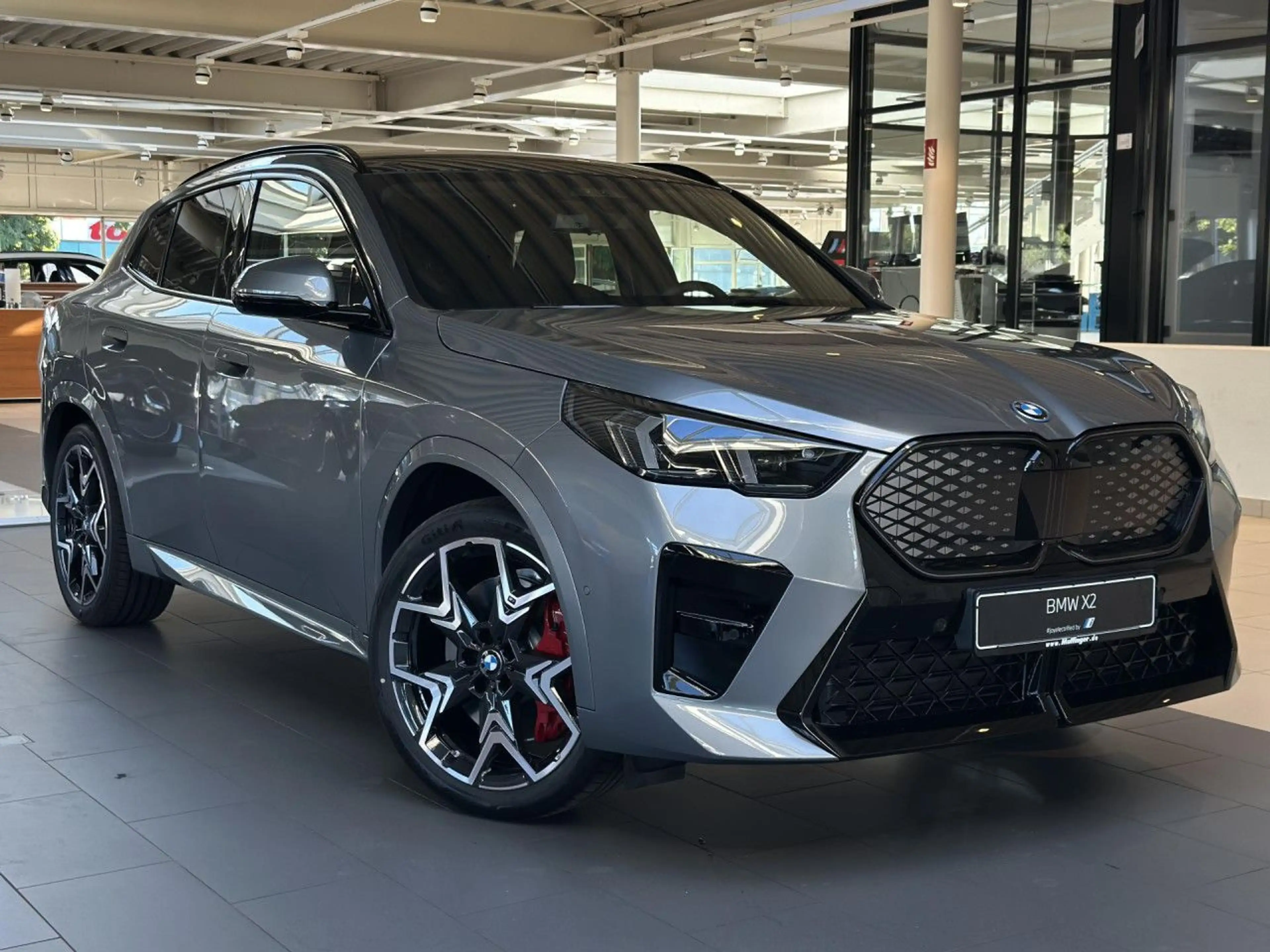 BMW iX2 x30 M Sport Pro AHK HUD Ha/Ka PanoD. SurView. — photo 2