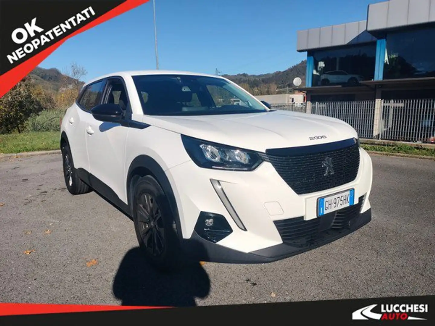 Peugeot 2008 2008 BlueHDi 110 S&S Active Pack Bianco - 1