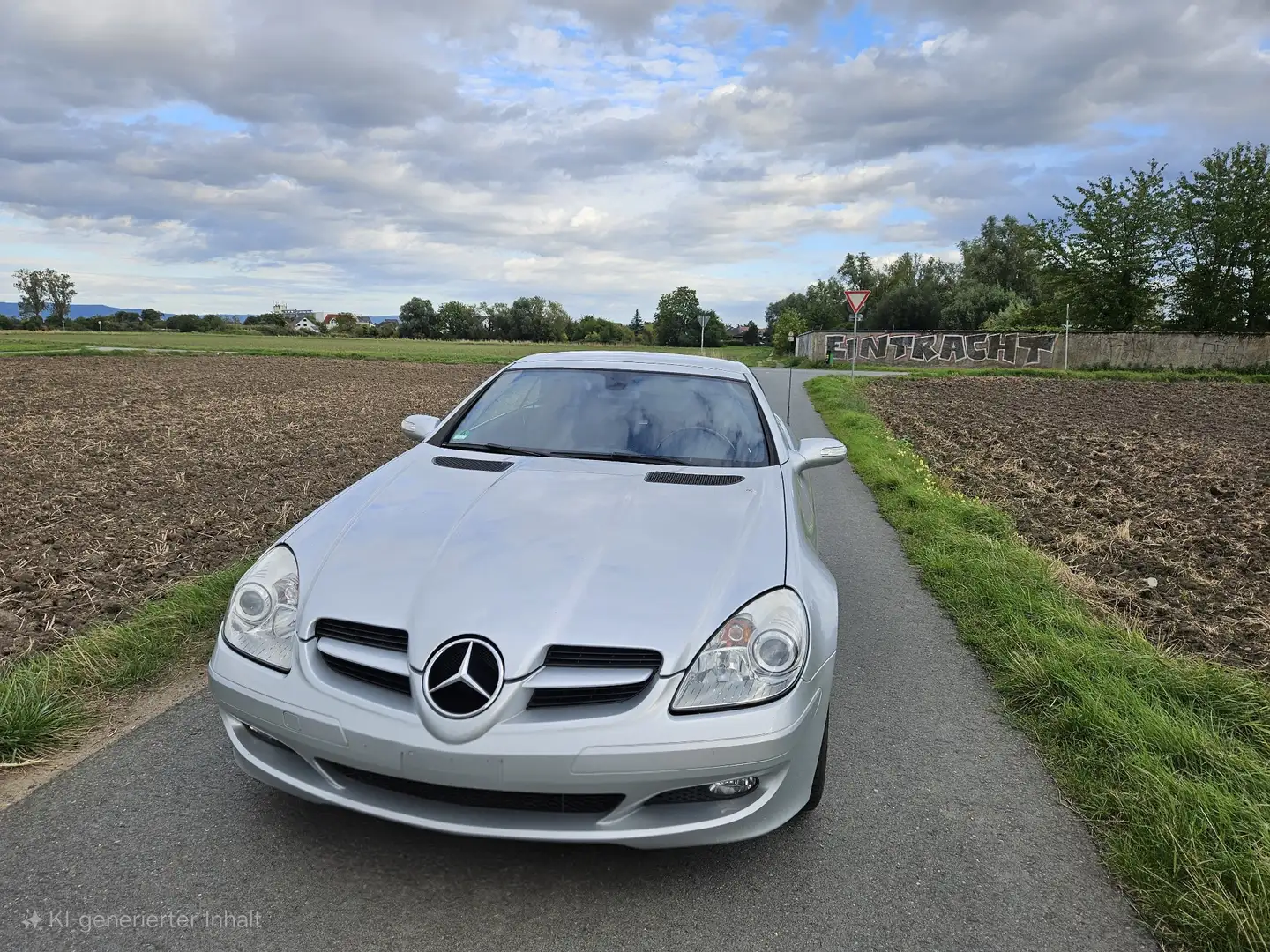 Mercedes-Benz SLK SLK 200 Kompressor Grau - 1