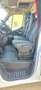 Renault Master 2.3 Tdci Energy 175 , 10 Paketen Klima,webasto Weiß - thumbnail 16