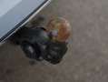 Volkswagen Golf Variant Life TDI Blau - thumbnail 24