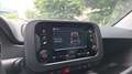 Fiat New Panda Panda 1.0 firefly hybrid City Cross s&s 70cv Nero - thumbnail 15