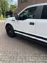 Ford F 150 5.0 V8 marge - thumbnail 6