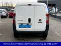 Fiat Fiorino Kasten Navi+ Bluetooth TÜV & Service Neu Blanc - thumbnail 5