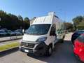 Fiat Ducato maxi 35 XLH3 3.0 CNG 136cv 5.624km!#1PROPRIETARIO Blanc - thumbnail 3