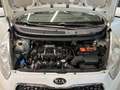 Kia Venga 1.4 EcoGPL Cool - NEOPATENTATO Bianco - thumbnail 6