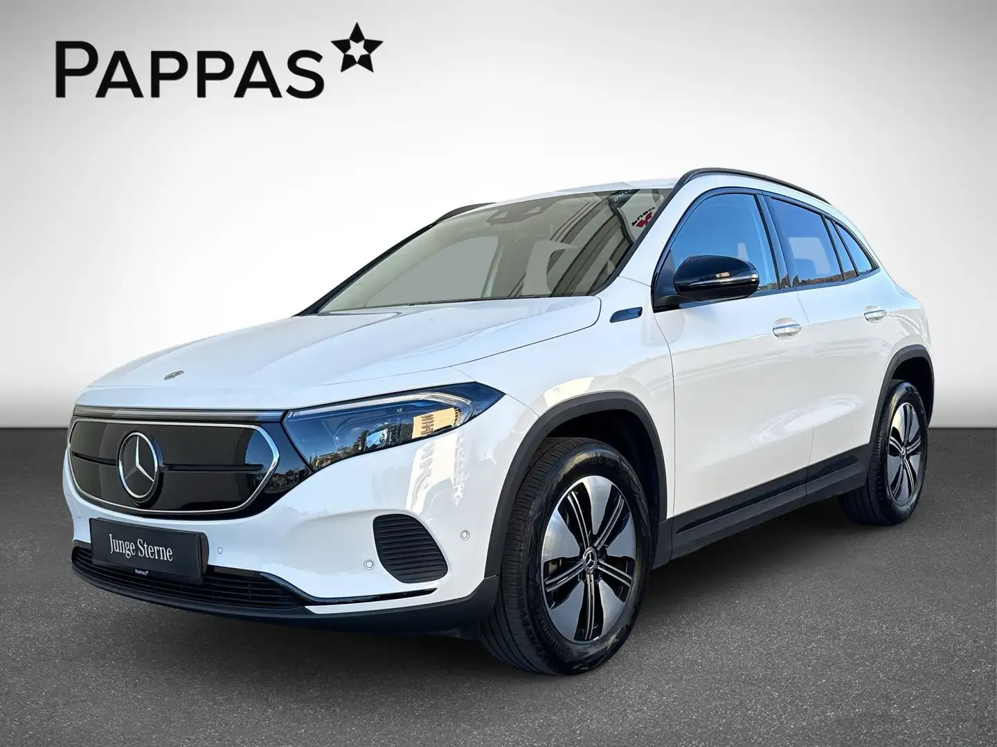 Mercedes-Benz EQA 250 Navi Cam Distr PTS Wide LED SHZ EASY-PACK Weiß - 2