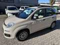 Fiat Panda 1.2 Lounge 69CV EURO6*NEOPATENTATI - thumbnail 1