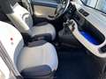 Fiat Panda 1.2 Lounge 69CV EURO6*NEOPATENTATI - thumbnail 10