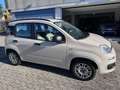 Fiat Panda 1.2 Lounge 69CV EURO6*NEOPATENTATI - thumbnail 3