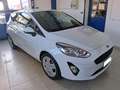 Ford Fiesta Fiesta 1.5 TDCi 85 CV 3 porte Van Trend Blanc - thumbnail 1