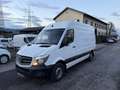 Mercedes-Benz Sprinter 316 CDI *AHK 3,5T**Klima**Tempomat* Weiß - thumbnail 1