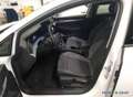 Volkswagen Golf Goal1.5 TSI LED/Sitz.-Lenkradhzg./AHK Weiß - thumbnail 3