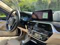 BMW 525 525d Aut. Luxury Line Bleu - thumbnail 16