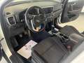 Kia Sportage Sportage 1.6 ecogplEnergy NO OBBLIGO FINAZIAMNENTO Bianco - thumbnail 12
