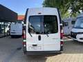 Renault Trafic Komfort L2H2 3,0t dCi 145PS Weiß - thumbnail 11