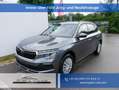 Skoda Kamiq Selection 1.0 TSI DSG*PDC-HINTEN*TEMPOMAT*SMART... Grau - thumbnail 1