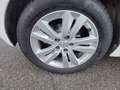 Peugeot 308 1.6 Hdi 100 CV Garantie 12 Mois Blanc - thumbnail 12