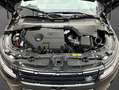 Land Rover Range Rover Evoque D165 S Winter/LED/Meridian Schwarz - thumbnail 9