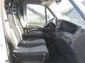 Iveco Daily 35S11 Cassonato 4,20 Mt Clima Cruise Bianco - thumbnail 7
