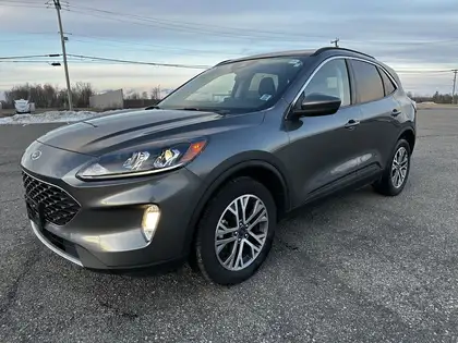 Gray 2022 Ford Escape SUV / Crossover All-Wheel Drive 8-Speed Automatic