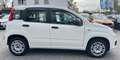 Fiat Panda TÜV AU NEU*KLIMA*USB*ISOFIX*EURO6* Blanc - thumbnail 7
