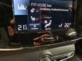 Volvo XC40 T5 Recharge Plus Dark, Leder, AHV, Winter+Sitz+... Grün - thumbnail 30