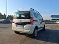 Fiat Qubo 1.3 MJT 80 CV Lounge Biały - thumbnail 5